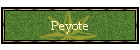 Peyote